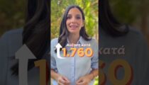 kΌλγα Μαρκογιαννάκη: «Πάνω από 50% η μείωση των γεννήσεων στην Κοζάνη”