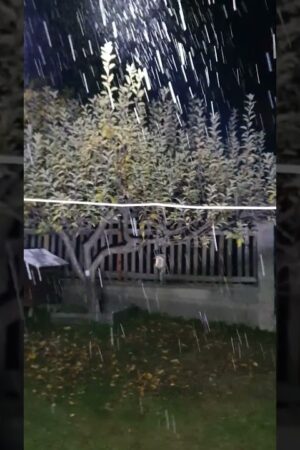 kozan.gr: Ξεκίνησε η χιονόπτωση στο Καταφύγι Βελβεντό